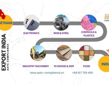 Xuất khẩu sang Ấn Độ năm 2025: Hướng dẫn chi tiết cho doanh nghiệp Việt Nam